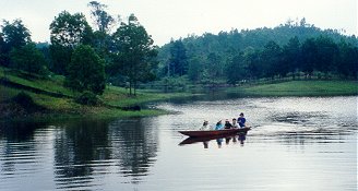 forestry9.jpg (17398 bytes)