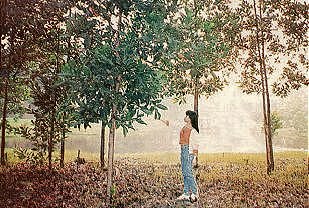 forestrygirl.jpg (33274 bytes)